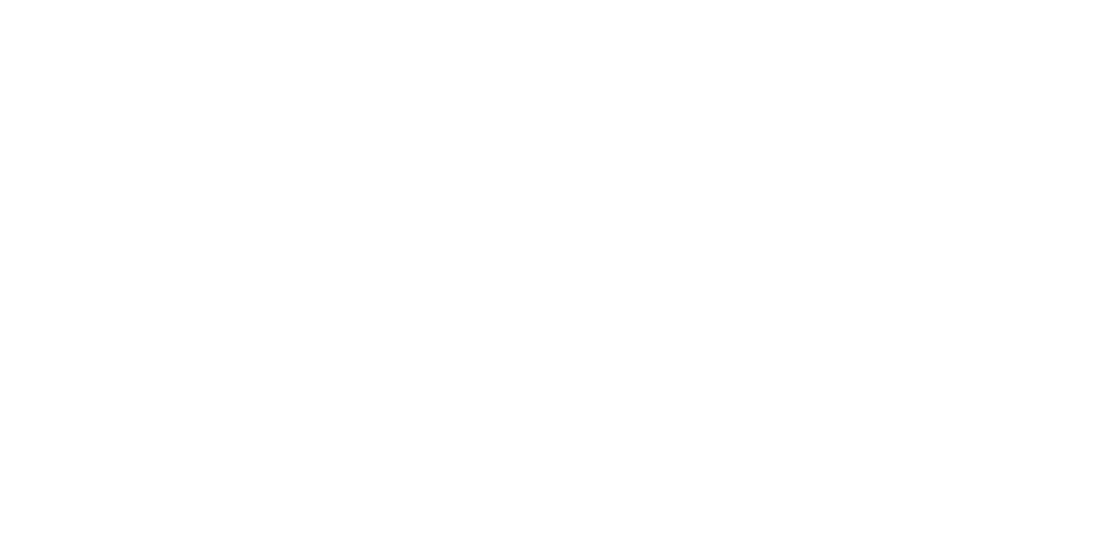 Die Zürcher Verlobung – Drehbuch zur Liebe