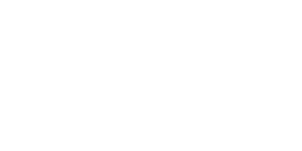 The Watcher