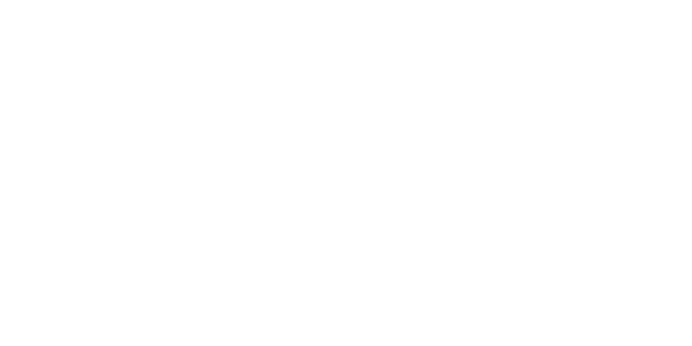 Der Stechlin: Der Dichter und der General