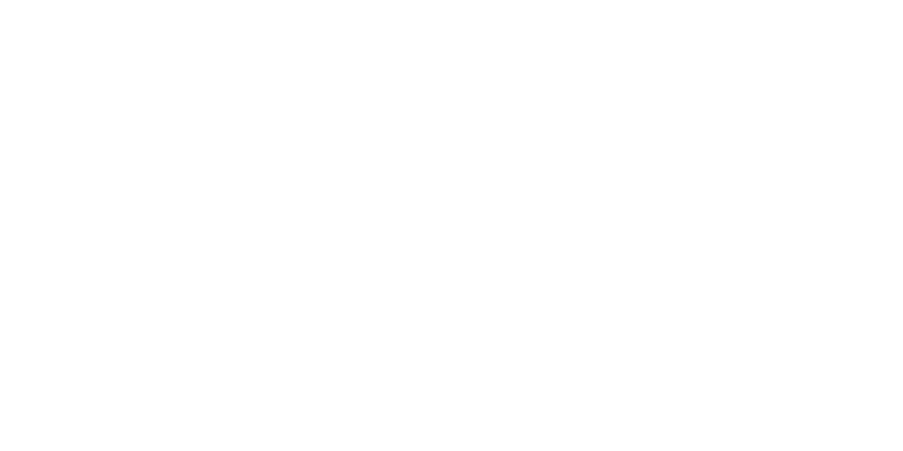 Wing Chun - Gefährlich wie eine Pantherkatze