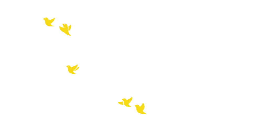 Gut zu Vögeln