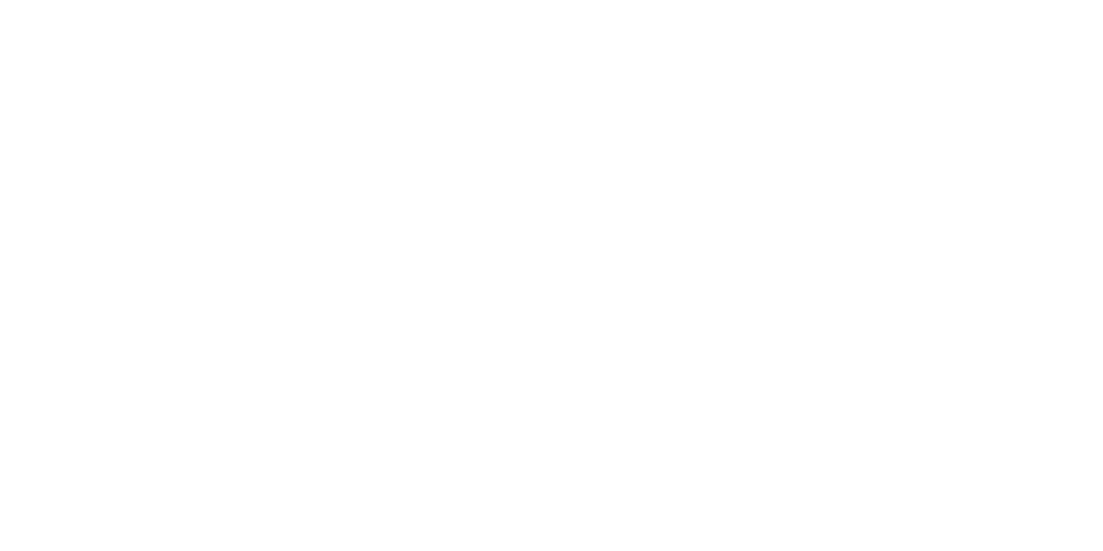 The Borderlands