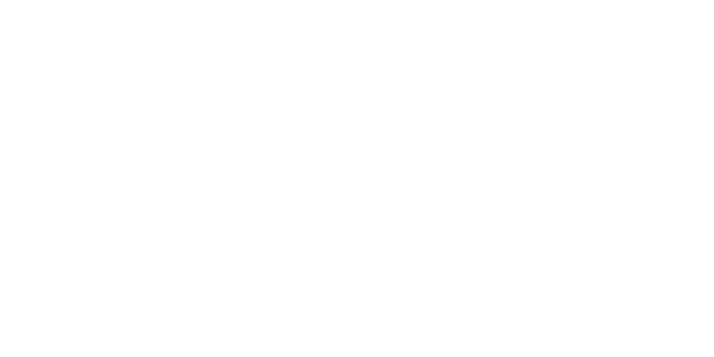 Salmas Geheimnis