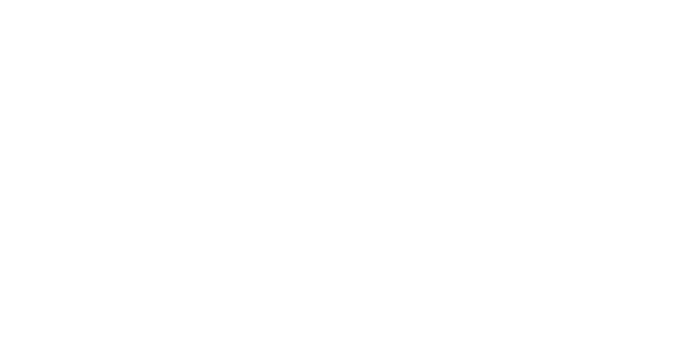 Nur ein Tag - Aus dem Leben einer Eintagsfliege