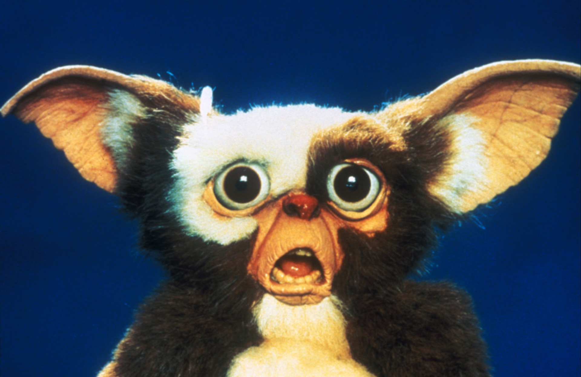 'Gremlins 3' um fast ein Jahr verschoben