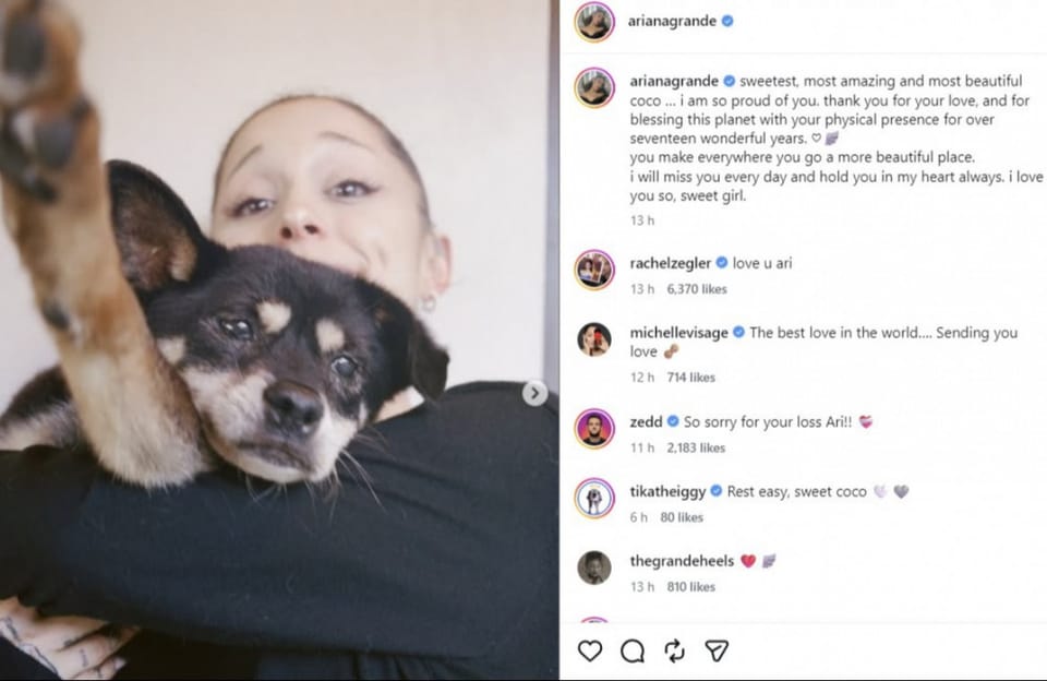 Ariana Grande trauert um ihren Hund Coco