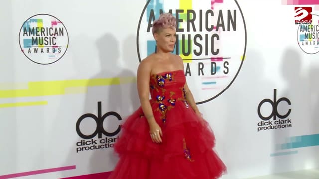 Pink claims she is feeling 'lonely' after slamming Macklemore for being pro-Palestine