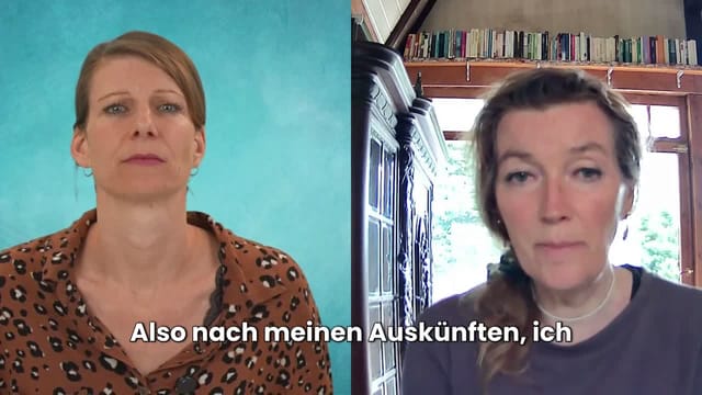 Lebt Buckelwal Timmy noch? Das sagt die Tierärztin