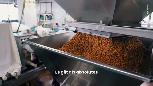 Food-Trend im Video: Sojabohnen-Gericht erobert die Welt