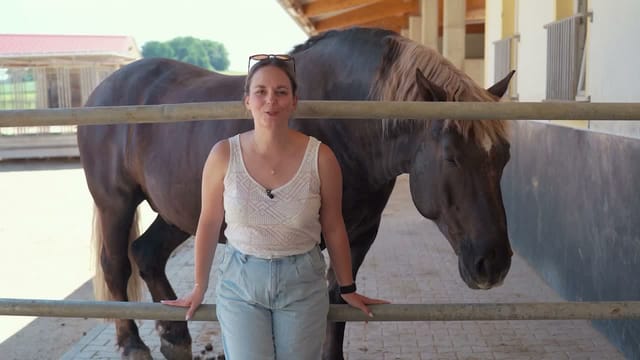 Anzeichen, dass dein Pferd glücklich ist