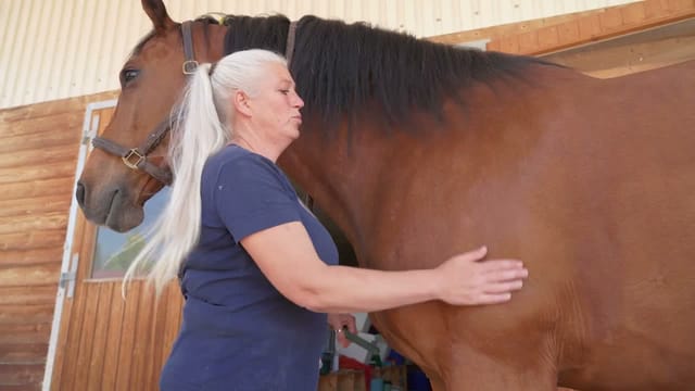 Pferd will die Hufe nicht geben