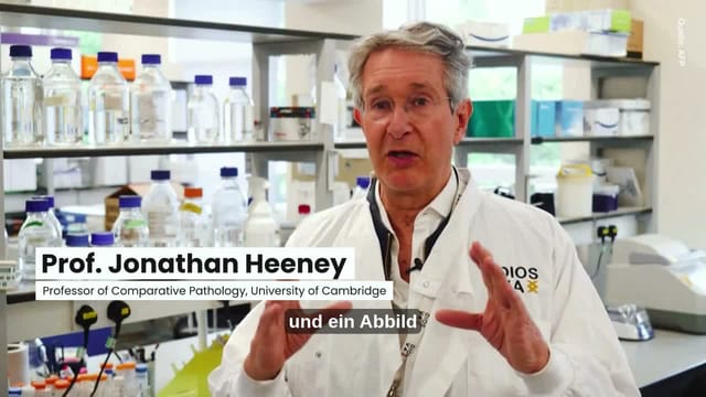 KI-Impfstoff aus Cambridge: Video zeigt Schutz vor Mutationen