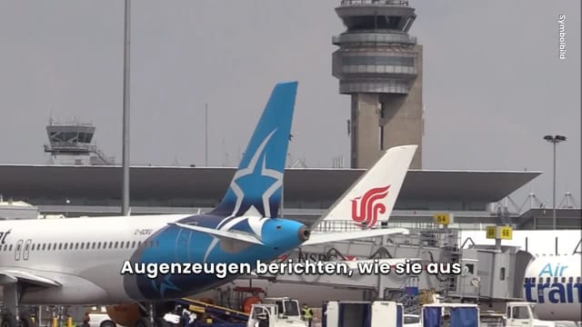 Lebender Skorpion versetzt Flugzeugpassagiere in Angst und Schrecken