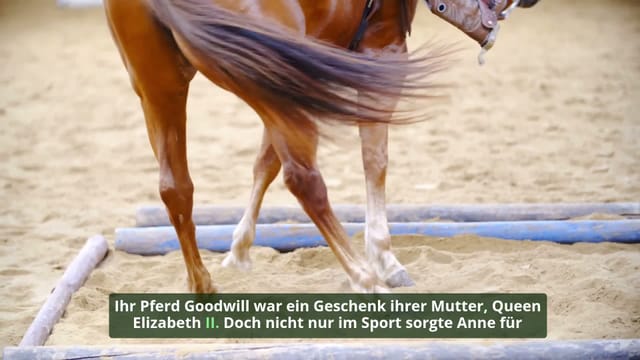 Prinzessin Anne: spannende Fakten über die Princess Royal
