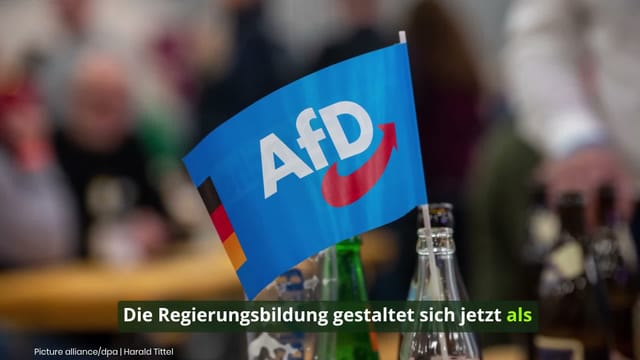 Landtagswahl in Sachsen-Anhalt: AfD und Siegmund verpassen absolute Mehrheit