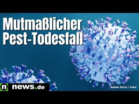 Mutmaßlicher Pest-Todesfall: Frau (28) in Sibirien gestorben - Putin-Behörden löschten Warnungen