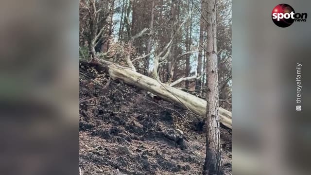 After the Wildfires: King Charles Meets First Responders in Scotland