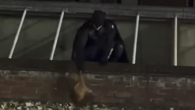 "Batman" Returns Stolen Handbag