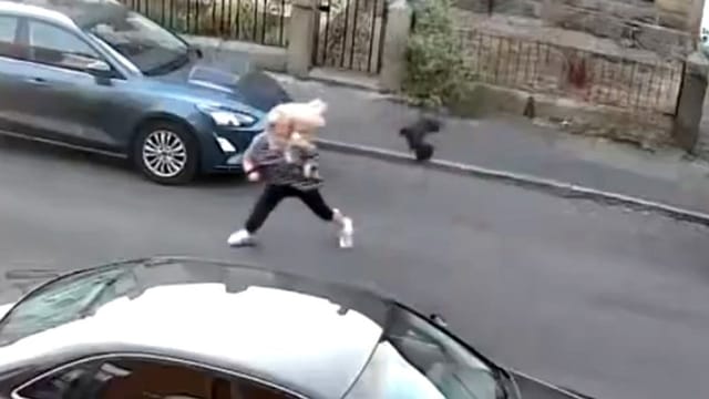 Aggro-Krähe jagt Frau im Kreis herum