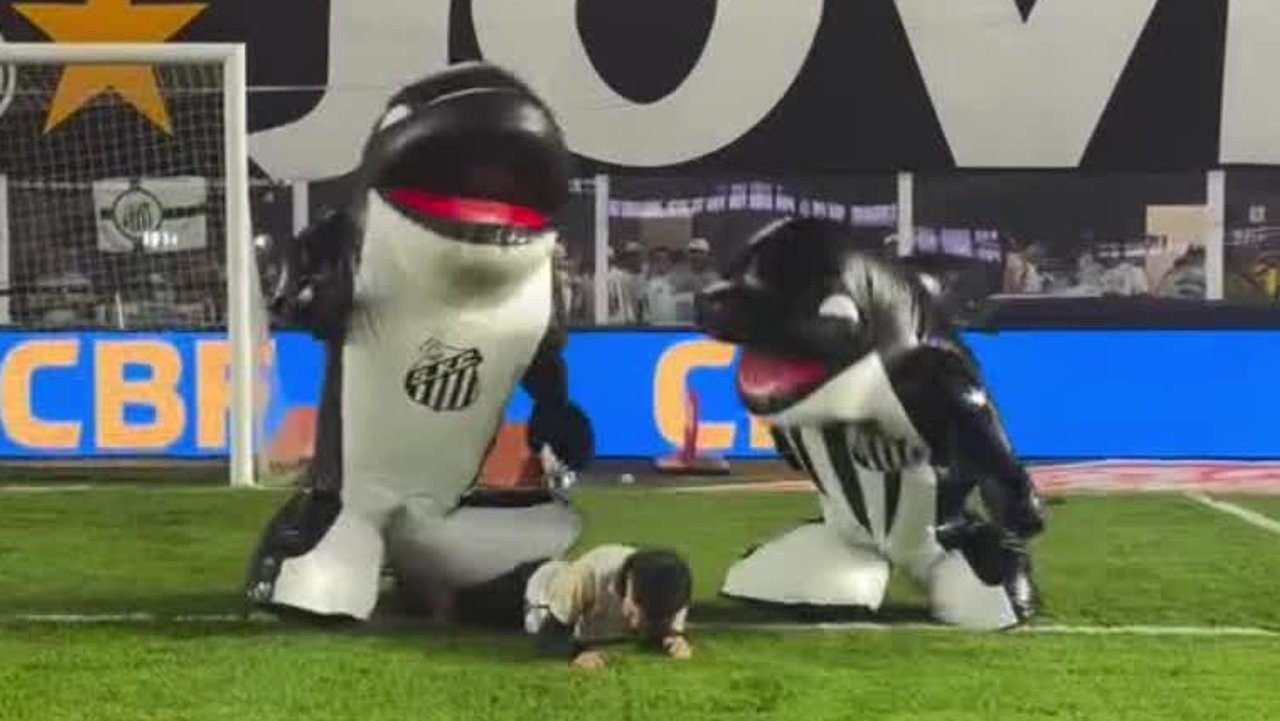 Orcas fallen über Fußballfan her