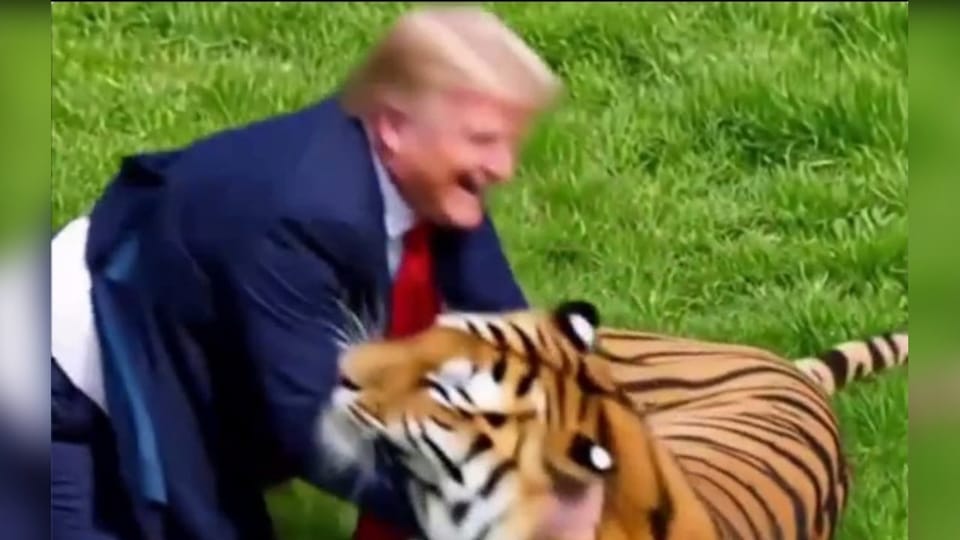 Trump kämpft in verstörendem KI-Video gegen Tiger