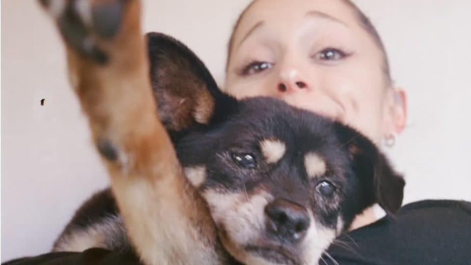 Ariana Grande trauert um ihre Hündin Coco