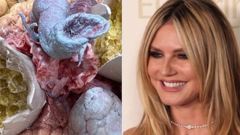 Halloween-Countdown: Heidi Klum gibt Kostüm-Hinweis