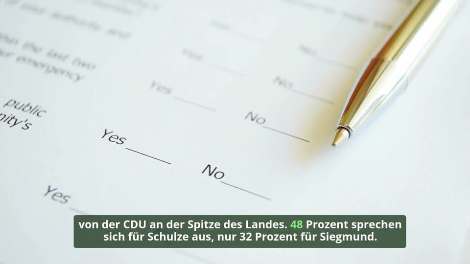 Umfrage-Schlappe für AfD-Spitzenkandidaten Siegmund
