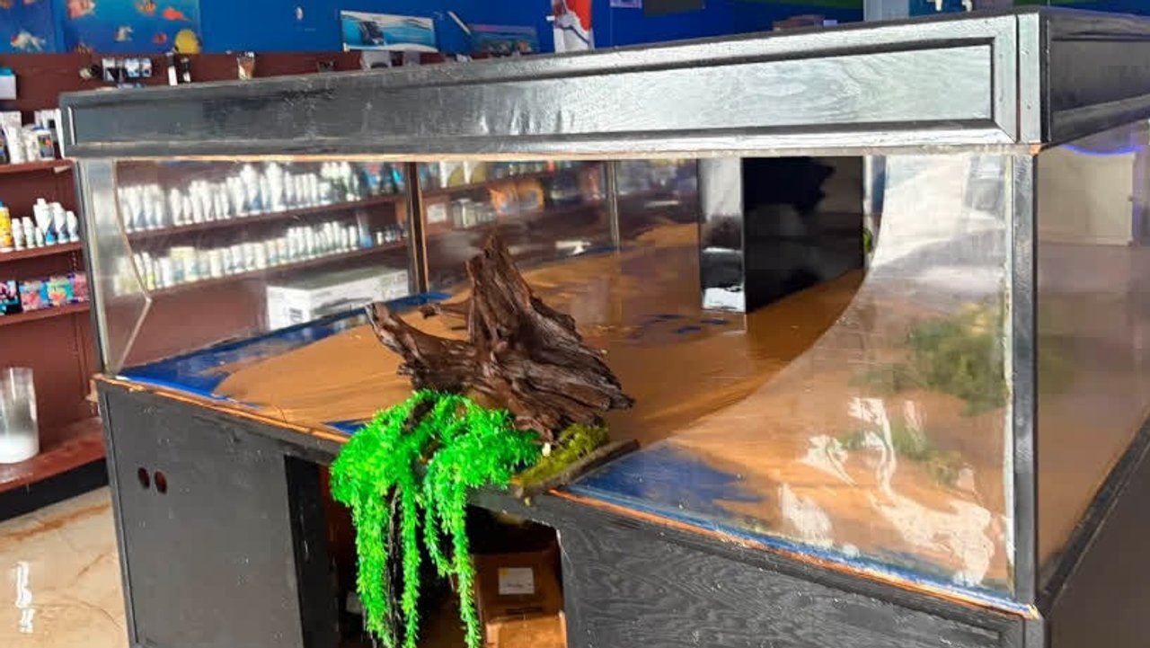 Aquarium zerbricht: 7.570 Liter überfluten Tierhandlung