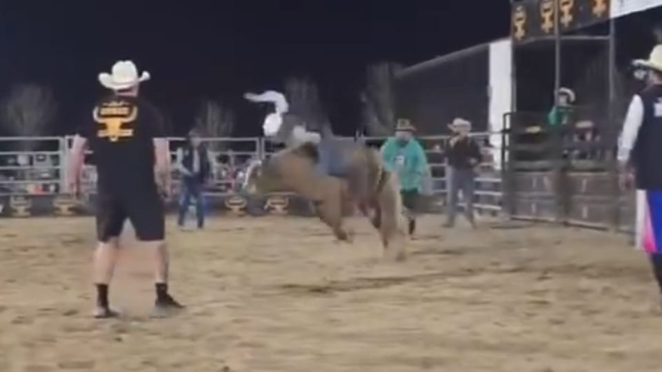 Stolzer Papa! Chris Hemsworths Tochter reitet zum Rodeo-Sieg